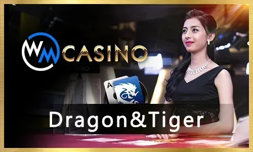 Jili777.com Bingo Community